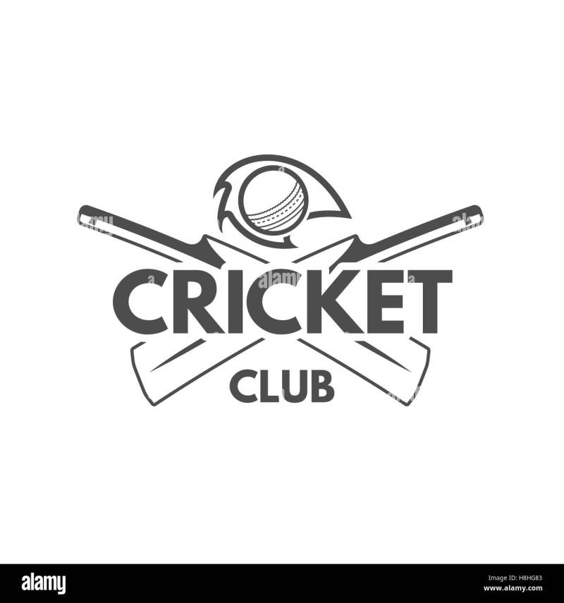 Flat style cricket bat and ball icon in Black and White color. 24277540  Vector Art at Vecteezy